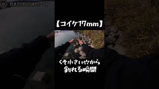 【コイケ17mm】手の平くらいの穴からデカイバスを釣る瞬間