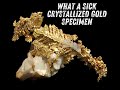 Crystallized gold that looks like a dinosaur, fish, or even an ancient weapon! 🦖🐟⚔️ #shortsvideo