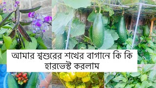 Shoker bagan 2022 update/ আমার শ্বশুরের সখের বাগানে কি কি হারভেস্ট করলাম?