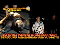 PATROLI PENYU DI PANTAI MALAM HARI MALAH MENEMUKAN PENYU YANG DI B*N*H ?!