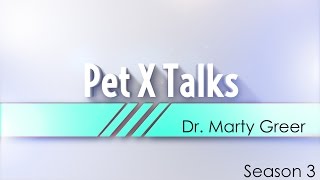 Pet X Talks - Dr. Marty Greer -  Sources For Finding The Right Pet + How Knowing Genetics Can Help