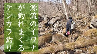 ①イワナ釣り｜tenkara flyfishing in Japan