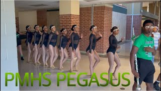 PMHS 2023-24 Pegasus Danceline | Showcase Vlog | Rookies 1st Performance