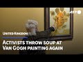 Van Gogh's 'Sunflowers' targeted with soup again after UK activists jailed | AFP