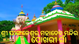 ଶ୍ରୀ ପିଙ୍ଗଳେଶ୍ୱର | ମହାଦେବ| ମନ୍ଦିର|ପୋଖରୀ ଗାଁ|Shree pingaleswar| mahadev|mandir|Pokharigaon|