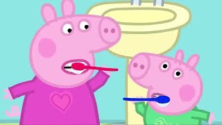 小猪佩奇 | 精选合集 | 1小时 | 小猪佩奇的新鞋子 | 粉红猪小妹|Peppa Pig Chinese |动画