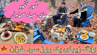 خبرخوش برای شما عزیزان🤩ولاگ یک روز سردوزیبای خزانی|شورنخودهراتی|کیک رژیمی|چای سماوار