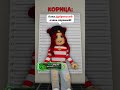 МОЕГО КОТИКА УКРАЛИ 😱 КТО ЖЕ ЭТО СДЕЛАЛ 🧐 robloxshorts roblox brookhaven