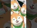 健全な柴犬vtuberです🐕✨ shorts 【柴犬vtuber 犬ゆうライブ】