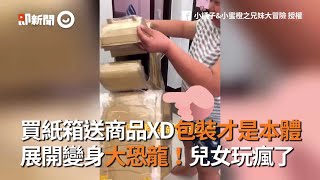 買紙箱送商品XD包裝才是本體　展開變身大恐龍！兒女玩瘋了