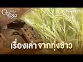 เรื่องเล่าจากทุ่งข้าว | ในรอยรส Taste Detective