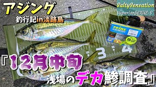 【アジング釣行記in淡路島】デカ鯵調査12月17日㈫。水温低下中！気になるデカ鯵の動向は！？そして愛機トゥイッギーに危機が訪れる💦