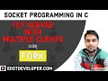Multiple Client Server Program in C using fork | Socket Programming