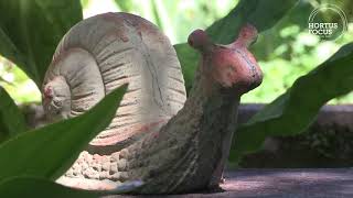 Garden visit: The Jardin d'Entêoulet, the French people's favorite garden, in the Gers region