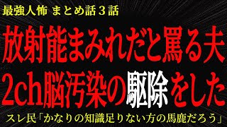 【2chヒトコワ】放射能まみれだと罵る夫2ch脳汚染の駆除をした【2ch怖いスレ】