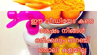 orange and orange peels || ഓറഞ്ചും ഓറഞ്ച് തൊലിയുടെ ഉപയോഗവും