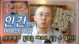 [위광사TV 스님상담 카카오톡 오픈! 댓글확인] 인간으로 태어난 이유? 인간만이 불법을 배우고 들을 수 있다. 극락정토행 쾌속선!