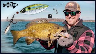 8 Late Fall Bass Spoon Refinement Tips That Work