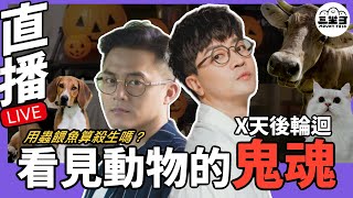 【鬼同你we won won】我能看見動物鬼魂？如何才叫殺生？（28/10/2024）｜余迪偉｜JJ詹朗林