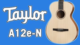 Taylor Academy 12e-N Review \u0026 Demo