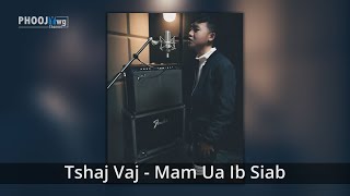 Tshaj Vaj - Mam Ua Ib Siab (Official Audio)