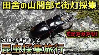 【カブトムシ・クワガタ】 昆虫採集旅行 2018年7月下旬 ②「田舎の山間部で街灯採集」