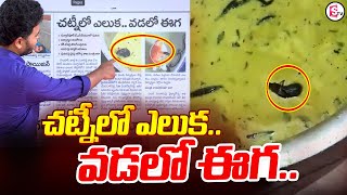 చట్నీలో ఎలుక.. వడలో దోమ..  | Mouse Appeared in Chutney Bowl | Sangareddy JNTU College Canteen News