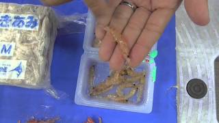 Explanation of precautions on how to make krill with a fish collecting agent infiltrated