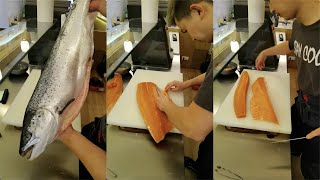 今天给大家沉浸式体验如何分割三文鱼Today I will give you an immersive experience on how to divide salmon #寿司 #刀工