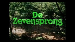 De ZevenSprong -- Aflevering 13 -- De schat