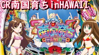 【パチンコ実機配信】CR南国育ちinハワイ　1/327【H2AZ】8