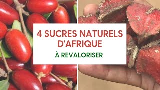 Sucres naturels d'Afrique à revaloriser