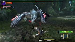 【MHXXNS】G★3 古代林で目撃された迅竜の報告 ブレイヴヘビィ 03'57\