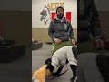 small dogs needs training also