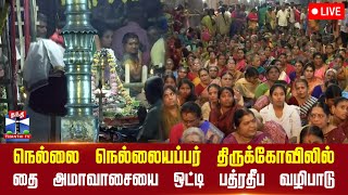 🔴LIVE : நெல்லையப்பர் திருக்கோவிலில் தை அமாவாசையை ஒட்டி பத்ரதீப வழிபாடு | Nellai | Temple |Thanthi TV