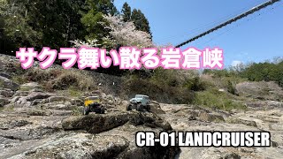 【ラジコン】桜舞い散る岩倉峡でロッククローリング！【CR-01】