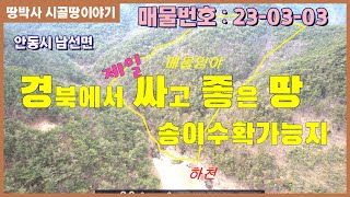 (23. 03. 03) 송이버섯 수확 가능한 저렴한 산림경영부지. 도심지 인근 사계절 계곡물 흐르는 청정지역에 자연생활 하기 좋은 임야