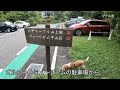 ビーグル犬と一緒に六甲比命大善神社に参拝したよ