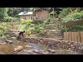 Build stone walls to prevent floodwaters and take care of orchards. Farm Life - TA Bushcraft