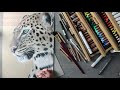 leopard realistic animal drawing so zeichne ich fell tutorial