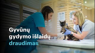 Jakovo Šengaut centras | Gyvūnų gydymo draudimas