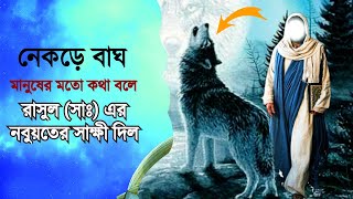 নেকড়ে বাঘ মানুষের মতো কথা বলে রাসুল (সাঃ) এর নবুয়তের সাক্ষী দিল || Islamic Video || Dhormer Alo