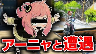 APEXしてたらSPY×FAMILYのアーニャとマッチしたんだけどww / Apexlegends　#shorts