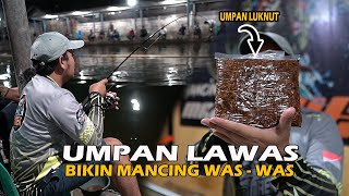 KACAU ❗❗UMPAN LAWAS HAMPIR NGEBAGONG❗❗ UNTUNGNYA MASIH ADA IKAN KASIAN SAMA M3 🤣🤣