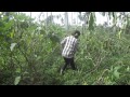 Tag Talong Na Kuha Na Kayo Haha By Doodz Reyes Tag Talong Na Kuha Na Kayo Haha By Doodz Reyes