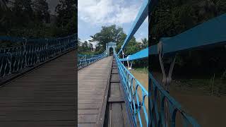 #viralvideo #viralshorts #trending Kuntighat Wooden Hanging Bridge 🌉 #travel