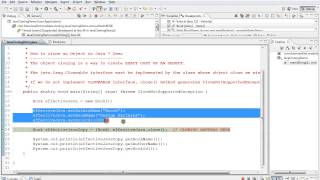 CLONE AN OBJECT IN JAVA DEMO
