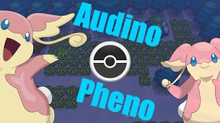 Audino Pheno Locations - PokeMMO