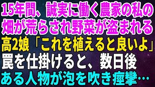 【スカッとする話】15年間、誠実に働く農家の私の畑が荒らされ野菜が盗まれる…すると高2娘「これを植えると良いよ」罠を仕掛けると、数日後ある人物が泡を吹き痙攣…