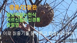 장수말벌집효능 중풍/간질/잘낮지않는천식/신경통/관절염/고혈압